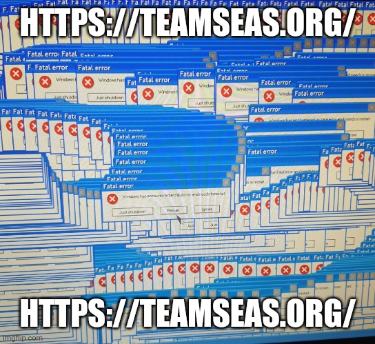 https://teamseas.org/ | HTTPS://TEAMSEAS.ORG/; HTTPS://TEAMSEAS.ORG/ | image tagged in a fatal error,team seas,team trees | made w/ Imgflip meme maker