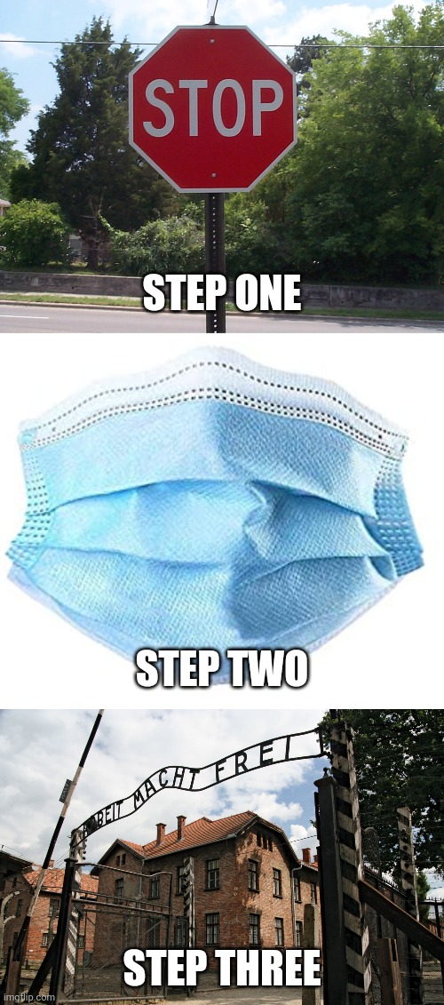 STEP ONE STEP TWO STEP THREE | image tagged in stop sign,medical mask,auschwitz gate | made w/ Imgflip meme maker