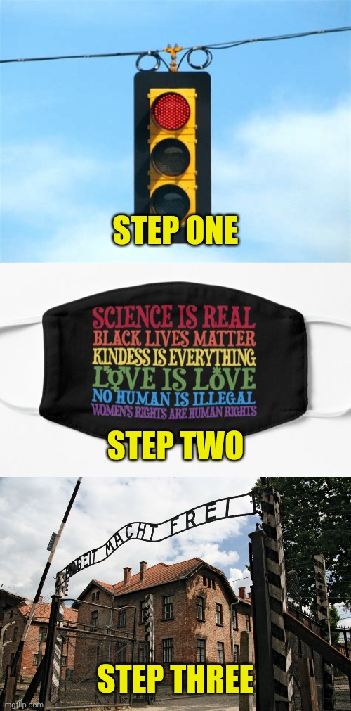 How Tyranny DOESN'T Happen | STEP ONE; STEP TWO; STEP THREE | image tagged in traffic light,mask,genocide,paranoia,freedom in murica,covidiots | made w/ Imgflip meme maker