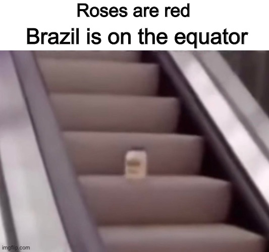Mayonnaise On An Escalator |  Roses are red; Brazil is on the equator | image tagged in mayonnaise on an escalator | made w/ Imgflip meme maker