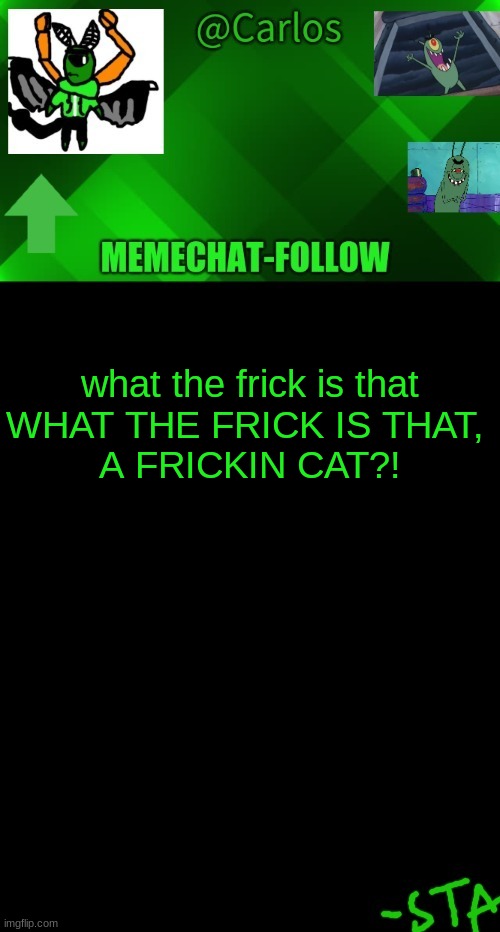 MAAAAAA | what the frick is that
WHAT THE FRICK IS THAT, 
A FRICKIN CAT?! | made w/ Imgflip meme maker