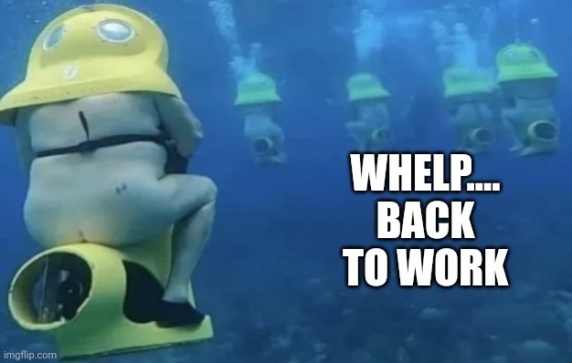 WHELP....
BACK TO WORK | image tagged in funny memes | made w/ Imgflip meme maker