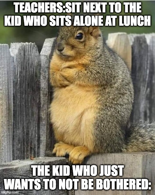 Annoyed Squirrel | TEACHERS:SIT NEXT TO THE KID WHO SITS ALONE AT LUNCH; THE KID WHO JUST WANTS TO NOT BE BOTHERED: | image tagged in annoyed squirrel | made w/ Imgflip meme maker