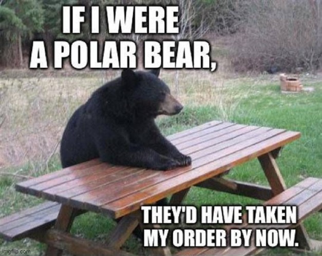 Random Thoughts While Waiting for Service | image tagged in vince vance,bears,memes,bear at picnic table,polar bear,waiting | made w/ Imgflip meme maker