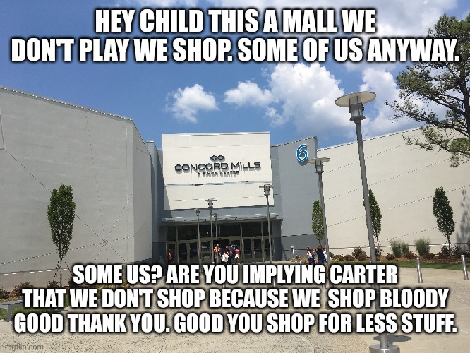 This is a mall we don't play we work. | HEY CHILD THIS A MALL WE DON'T PLAY WE SHOP. SOME OF US ANYWAY. SOME US? ARE YOU IMPLYING CARTER THAT WE DON'T SHOP BECAUSE WE  SHOP BLOODY GOOD THANK YOU. GOOD YOU SHOP FOR LESS STUFF. | image tagged in parody,charlotte's web | made w/ Imgflip meme maker