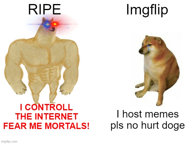 Buff Doge vs. Cheems Meme | RIPE; Imgflip; I CONTROLL THE INTERNET FEAR ME MORTALS! I host memes pls no hurt doge | image tagged in memes,buff doge vs cheems | made w/ Imgflip meme maker