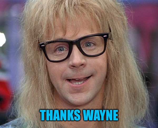 Garth Wayne’s World | THANKS WAYNE | image tagged in garth wayne s world | made w/ Imgflip meme maker