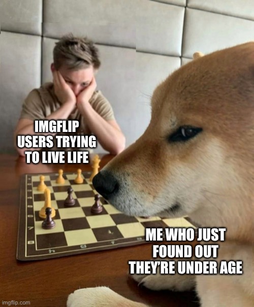 PREPARE FOR THE BAN HAMMER….. AT SOME POINT | IMGFLIP USERS TRYING TO LIVE LIFE; ME WHO JUST FOUND OUT THEY’RE UNDER AGE | image tagged in doge playing chess | made w/ Imgflip meme maker