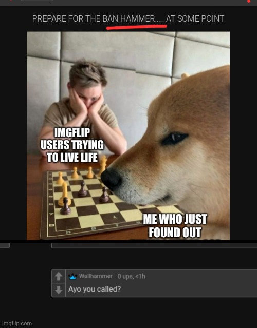 made w/ Imgflip meme maker