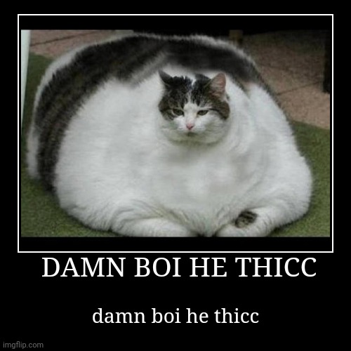 Thicc | image tagged in funny,demotivationals | made w/ Imgflip demotivational maker