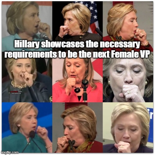 No longer able to sell government access through Clinton Foundation, Hil needs a job | Hillary showcases the necessary requirements to be the next Female VP | image tagged in memes | made w/ Imgflip meme maker