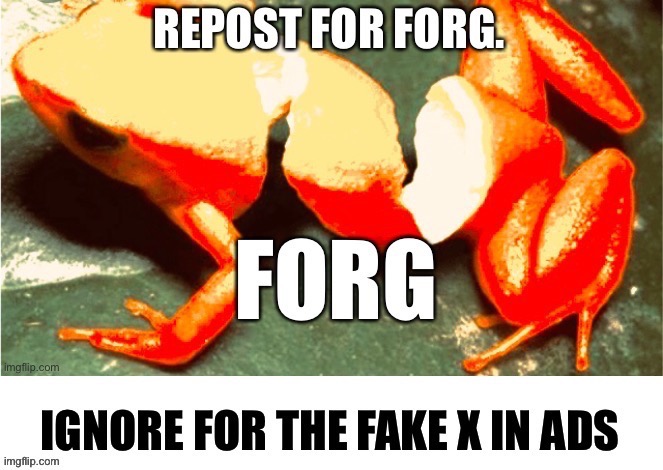 Forg | image tagged in forg | made w/ Imgflip meme maker