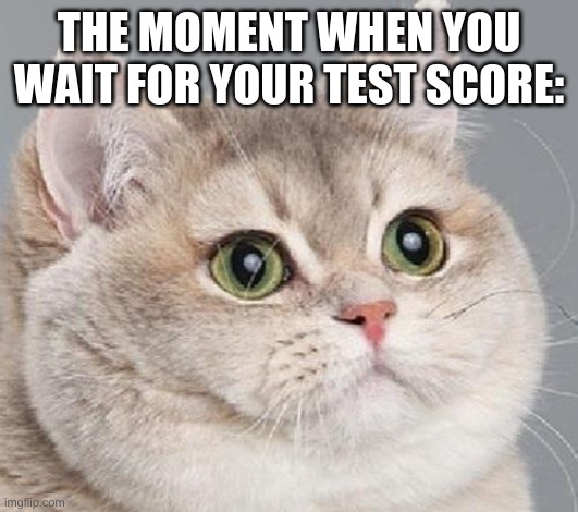 this happened today | THE MOMENT WHEN YOU WAIT FOR YOUR TEST SCORE: | image tagged in breathing intensifies | made w/ Imgflip meme maker