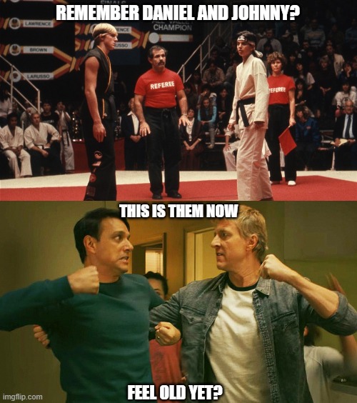 LeRusso and Lawrence grew old | REMEMBER DANIEL AND JOHNNY? THIS IS THEM NOW; FEEL OLD YET? | image tagged in karate kid,feel old yet | made w/ Imgflip meme maker