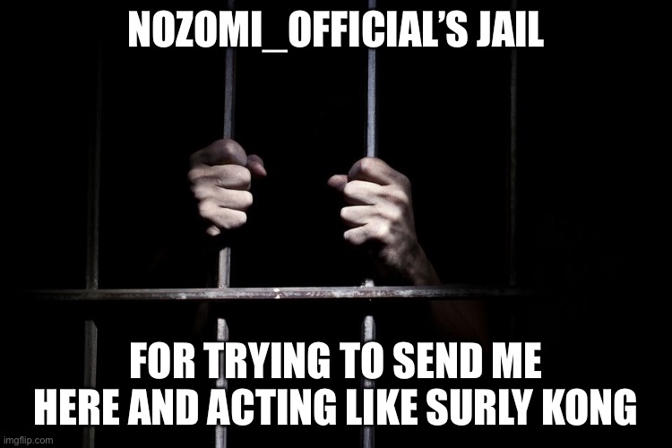 Hands on jail cell door | NOZOMI_OFFICIAL’S JAIL; FOR TRYING TO SEND ME HERE AND ACTING LIKE SURLY KONG | image tagged in hands on jail cell door | made w/ Imgflip meme maker