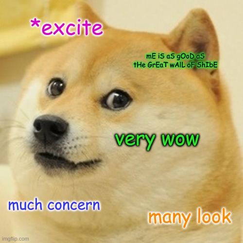 mlem | *excite; mE iS aS gOoD aS tHe GrEaT wAlL oF ShIbE; very wow; much concern; many look | image tagged in memes,doge | made w/ Imgflip meme maker