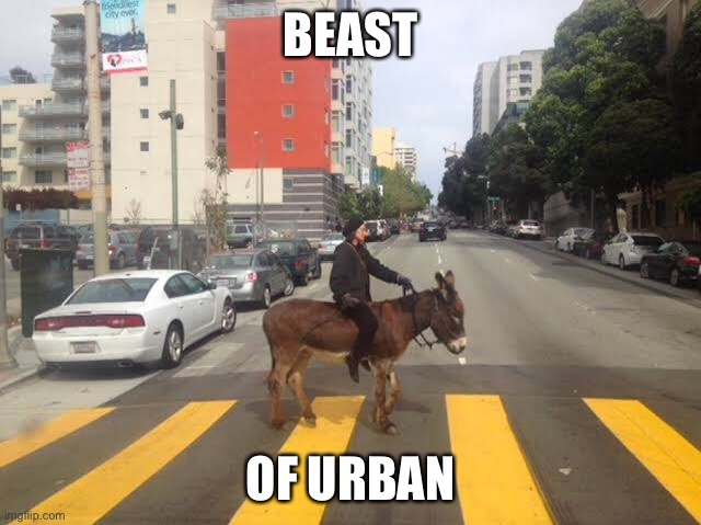 City donkey | BEAST; OF URBAN | image tagged in beast,donkey,urban,city,bad puns | made w/ Imgflip meme maker