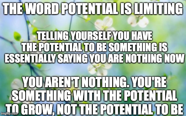 I'm not sure if this is helpful, or if I got the message I wanted across, but listen to it anyway |  THE WORD POTENTIAL IS LIMITING; TELLING YOURSELF YOU HAVE THE POTENTIAL TO BE SOMETHING IS ESSENTIALLY SAYING YOU ARE NOTHING NOW; YOU AREN'T NOTHING. YOU'RE SOMETHING WITH THE POTENTIAL TO GROW, NOT THE POTENTIAL TO BE | image tagged in flowers,someone needs this,potential,you already are somthing,grow | made w/ Imgflip meme maker