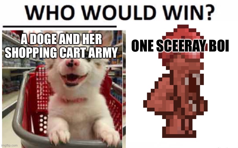 A DOGE AND HER SHOPPING CART ARMY; ONE SCEERAY BOI | image tagged in who would win,doge,army,vs,boi | made w/ Imgflip meme maker