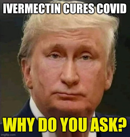wolf in wolf's clothing | IVERMECTIN CURES COVID; WHY DO YOU ASK? | image tagged in trump putin face swap merge,face swap,misinformation,antivax,ivermectin,questionable | made w/ Imgflip meme maker