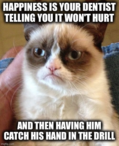 Grumpy Cat | HAPPINESS IS YOUR DENTIST TELLING YOU IT WON'T HURT; AND THEN HAVING HIM CATCH HIS HAND IN THE DRILL | image tagged in memes,grumpy cat | made w/ Imgflip meme maker