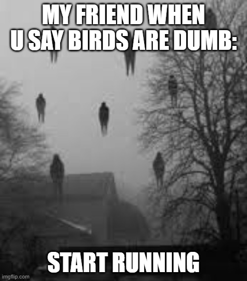 run run | MY FRIEND WHEN U SAY BIRDS ARE DUMB:; START RUNNING | image tagged in me and the boys in creative mode | made w/ Imgflip meme maker