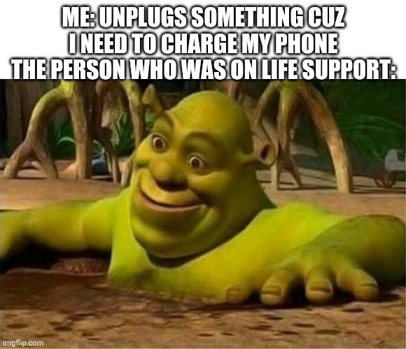 shrek | ME: UNPLUGS SOMETHING CUZ I NEED TO CHARGE MY PHONE
THE PERSON WHO WAS ON LIFE SUPPORT: | image tagged in shrek | made w/ Imgflip meme maker