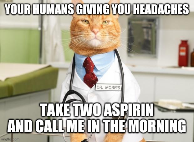 Cat Doctor |  YOUR HUMANS GIVING YOU HEADACHES; TAKE TWO ASPIRIN AND CALL ME IN THE MORNING | image tagged in cat doctor | made w/ Imgflip meme maker