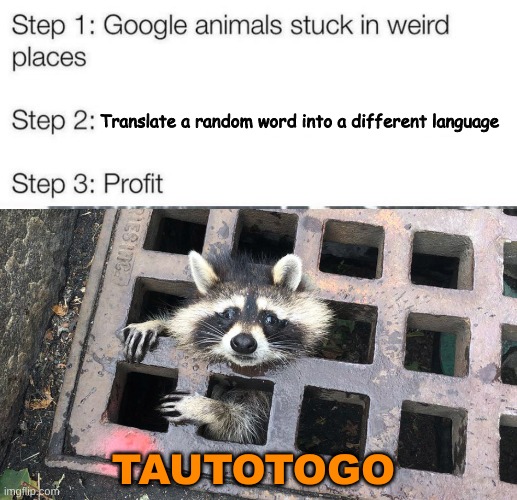 tautotogo is just Spring in a language called "Samoan" |  Translate a random word into a different language; TAUTOTOGO | image tagged in animals,profit,trending | made w/ Imgflip meme maker
