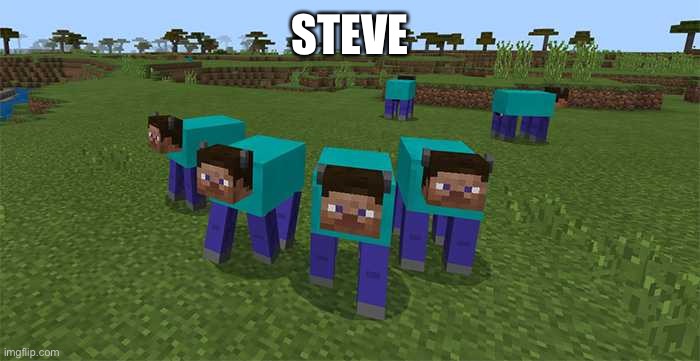 me and the boys | STEVE | image tagged in me and the boys | made w/ Imgflip meme maker