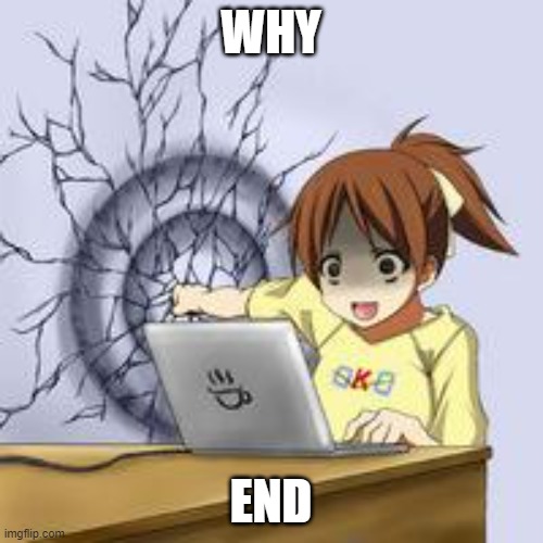 WHY END | image tagged in anime wall punch | made w/ Imgflip meme maker