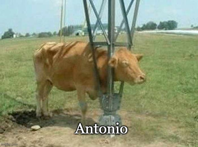 Antonio | Antonio | image tagged in antonio | made w/ Imgflip meme maker
