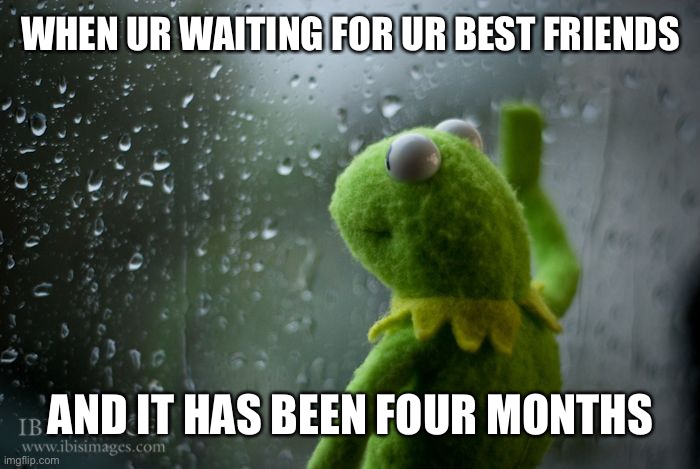 sorry for not posting | WHEN UR WAITING FOR UR BEST FRIENDS; AND IT HAS BEEN FOUR MONTHS | image tagged in kermit window | made w/ Imgflip meme maker