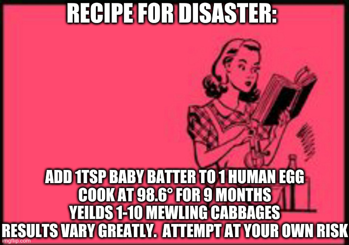 Not recommended | RECIPE FOR DISASTER:; ADD 1TSP BABY BATTER TO 1 HUMAN EGG
COOK AT 98.6° FOR 9 MONTHS
YEILDS 1-10 MEWLING CABBAGES
RESULTS VARY GREATLY.  ATTEMPT AT YOUR OWN RISK | image tagged in cookbook ecard | made w/ Imgflip meme maker