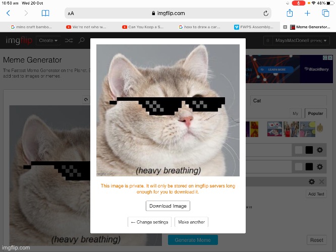 Every time I try to upload a meme, this happens. Anyone know what’s happening? | image tagged in cat | made w/ Imgflip meme maker