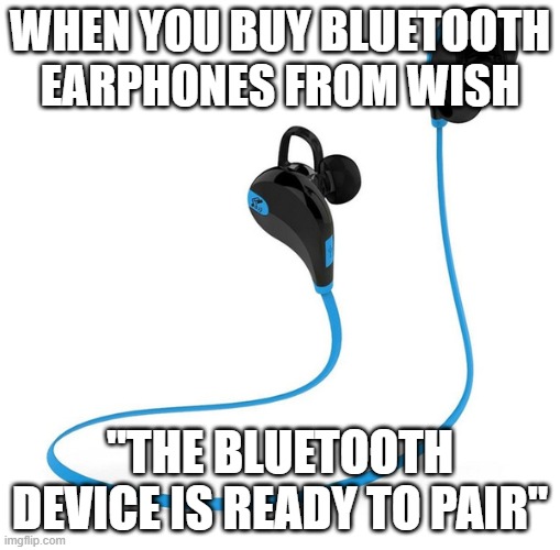 The bluetooth device is ready to pair | WHEN YOU BUY BLUETOOTH EARPHONES FROM WISH; "THE BLUETOOTH DEVICE IS READY TO PAIR" | image tagged in funny memes | made w/ Imgflip meme maker
