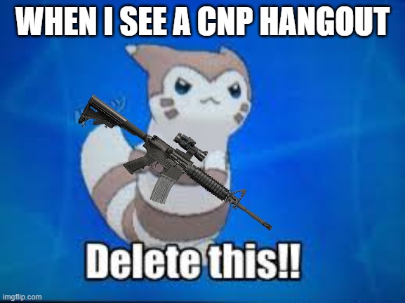 Furret delete this | WHEN I SEE A CNP HANGOUT | image tagged in furret delete this | made w/ Imgflip meme maker