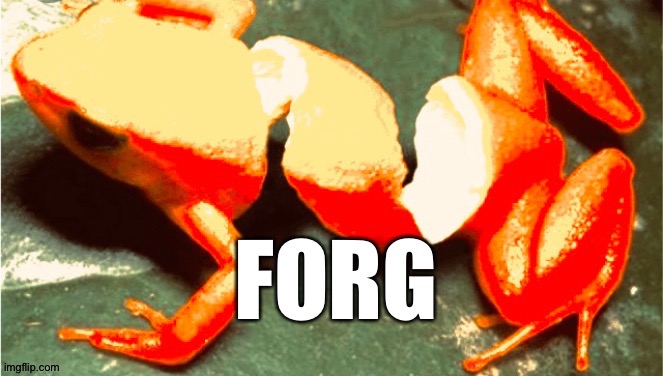 F o r g | image tagged in forg | made w/ Imgflip meme maker
