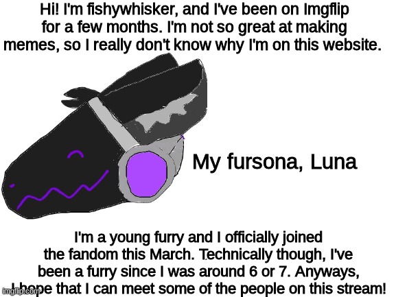 hi | Hi! I'm fishywhisker, and I've been on Imgflip for a few months. I'm not so great at making memes, so I really don't know why I'm on this website. My fursona, Luna; I'm a young furry and I officially joined the fandom this March. Technically though, I've been a furry since I was around 6 or 7. Anyways, I hope that I can meet some of the people on this stream! | made w/ Imgflip meme maker