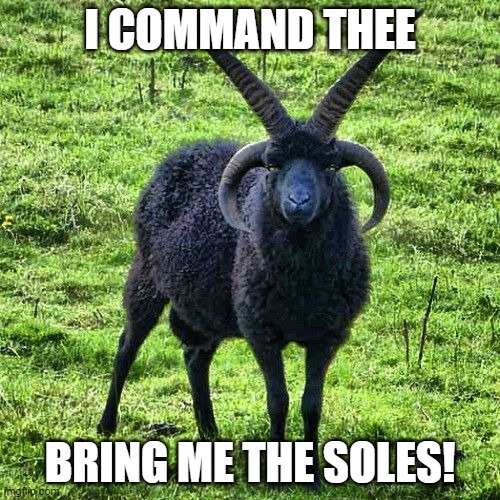 Blacksheep | I COMMAND THEE; BRING ME THE SOLES! | image tagged in evil,goat,soles | made w/ Imgflip meme maker