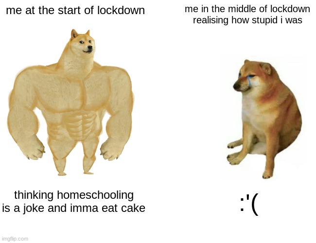 Buff Doge vs. Cheems | me at the start of lockdown; me in the middle of lockdown realising how stupid i was; thinking homeschooling is a joke and imma eat cake; :'( | image tagged in memes,buff doge vs cheems | made w/ Imgflip meme maker