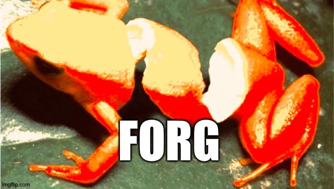 Forg | image tagged in forg | made w/ Imgflip meme maker