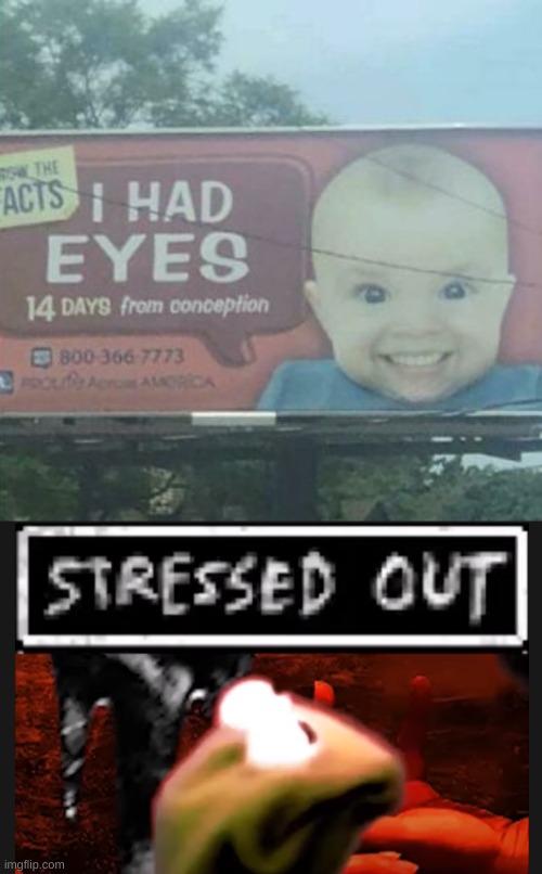 you- had eyes? | image tagged in stressed kermit | made w/ Imgflip meme maker