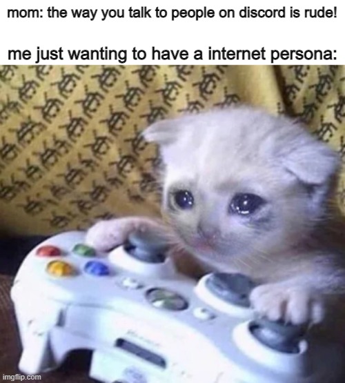 well that sucks |  mom: the way you talk to people on discord is rude! me just wanting to have a internet persona: | image tagged in sad gaming cat,gaming,discord | made w/ Imgflip meme maker