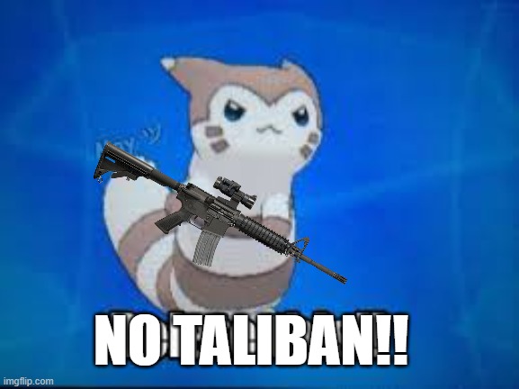 Furret delete this | NO TALIBAN!! | image tagged in furret delete this | made w/ Imgflip meme maker