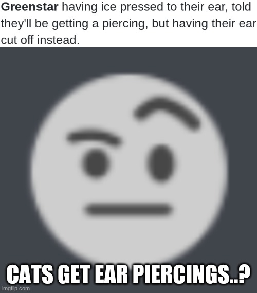 CATS GET EAR PIERCINGS..? | image tagged in hmm | made w/ Imgflip meme maker