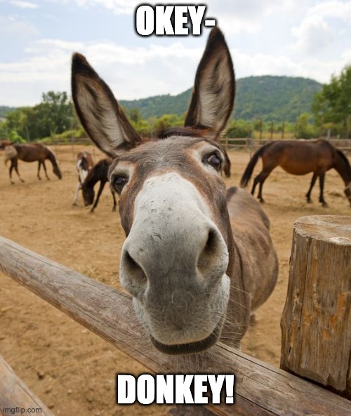 Okey-donkey! | OKEY-; DONKEY! | image tagged in okie dokie,okey dokey,okey donkey | made w/ Imgflip meme maker