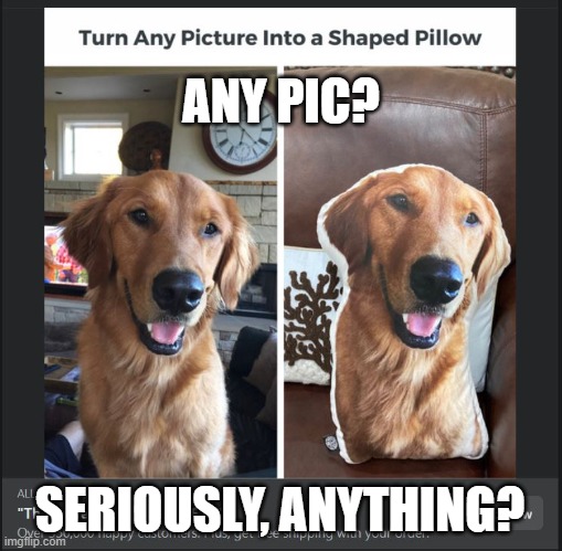Picture it | ANY PIC? SERIOUSLY, ANYTHING? | image tagged in dick pic,cute dog,inappropriate | made w/ Imgflip meme maker