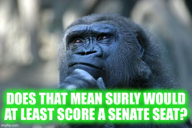 Deep Thoughts | DOES THAT MEAN SURLY WOULD AT LEAST SCORE A SENATE SEAT? | image tagged in deep thoughts | made w/ Imgflip meme maker