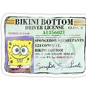 Spongebob Credit card Blank Meme Template
